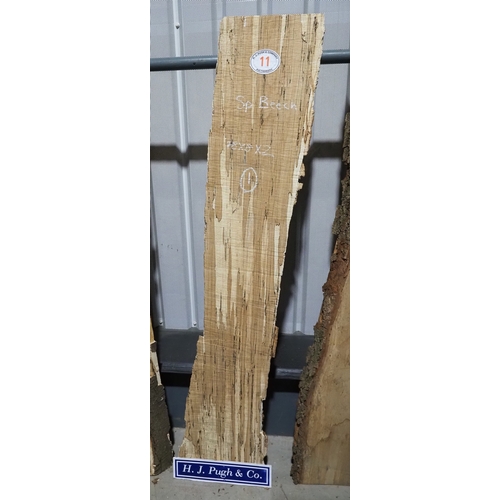 Lot 11        