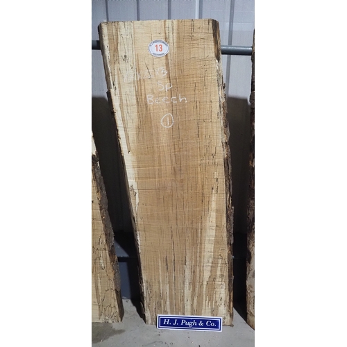 Lot 13        