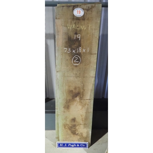 Lot 19        