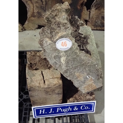 Lot 46        