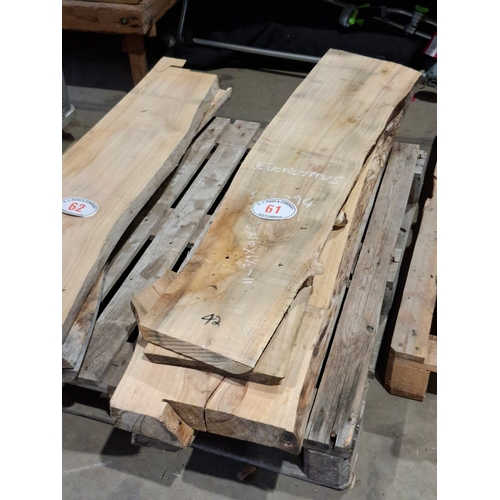 Lot 61        