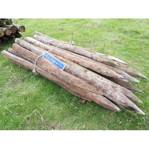 Lot 33        
