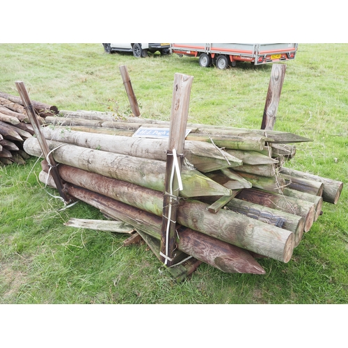 Lot 34        