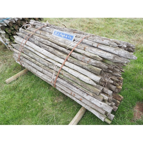 Lot 36        