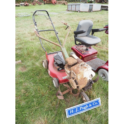 Lot 43        