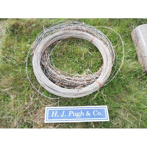 Lot 62        