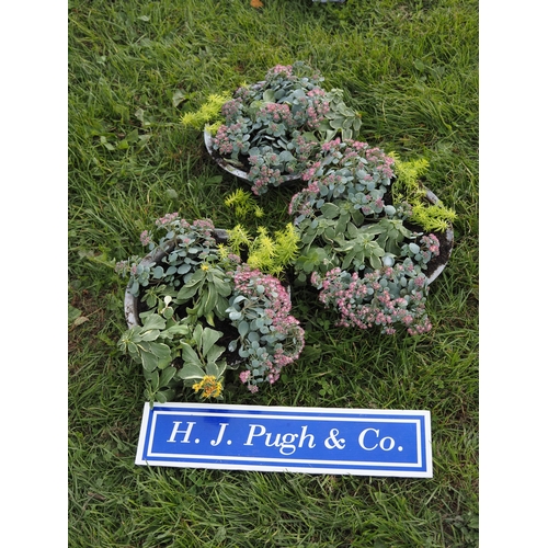 Lot 14        