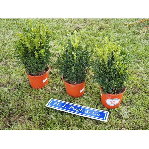 Lot 32        