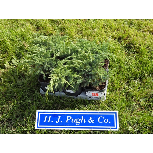 Lot 58        