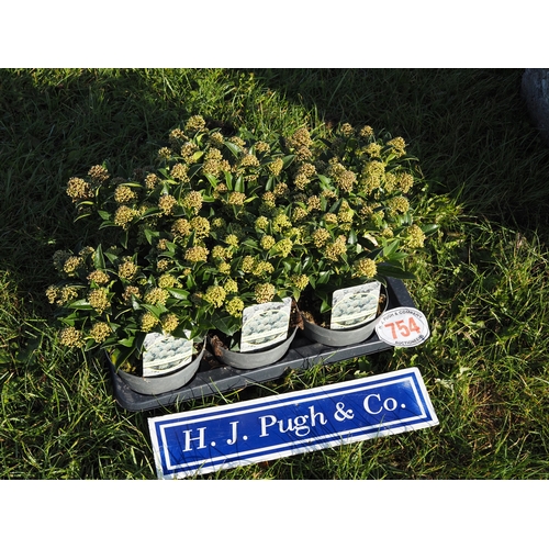 Lot 754       