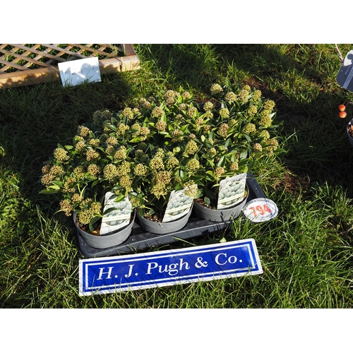 Lot 794       
