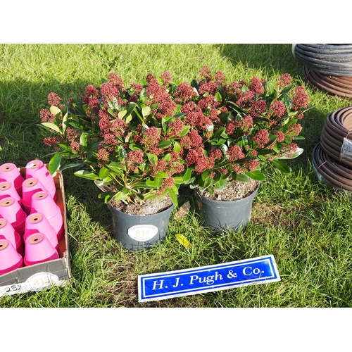 Lot 814       
