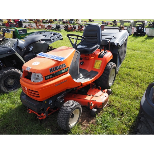 Lot 24        