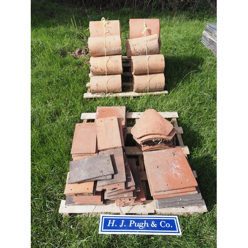 Lot 15        