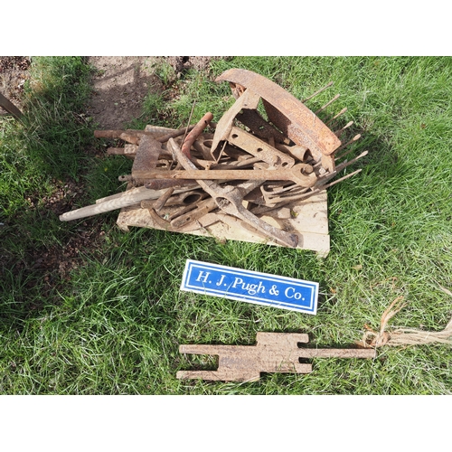Lot 16        