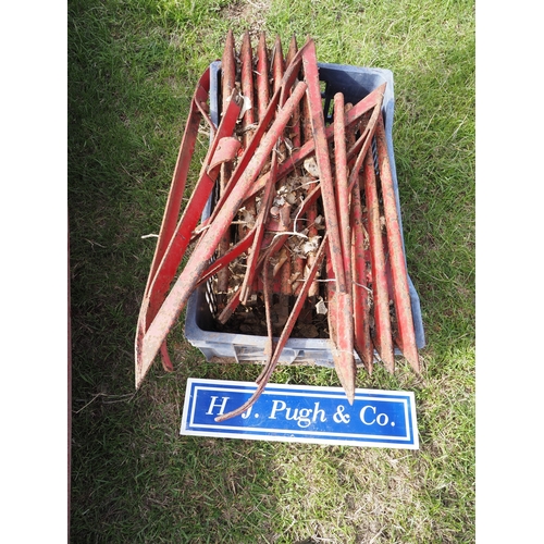 Lot 24        