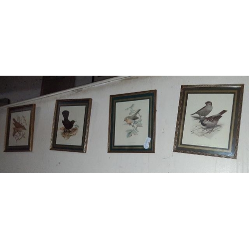 220 - 4 Small Framed Bird Pictures