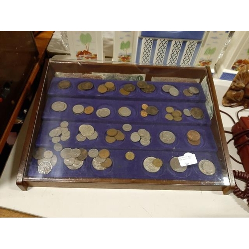 383 - Large Display Cabinet Of Coins And Bank Notes