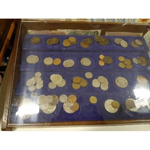 383 - Large Display Cabinet Of Coins And Bank Notes