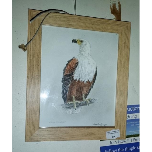 264 - Framed Watercolour Of A American Fish Eagle Signed And Dated 1999