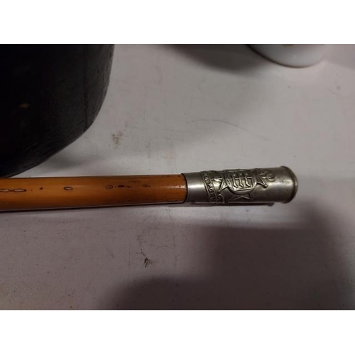 448 - 5Th Battalion Royal Sussex Cinque Ports Swagger Stick