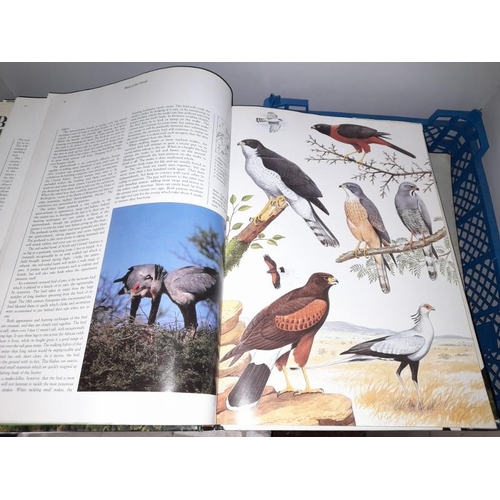 5 - Birds Of The World With Large Colour Prints