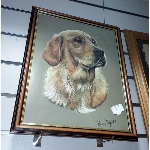 101 - Framed Print Of Dog By Brian Huckfield