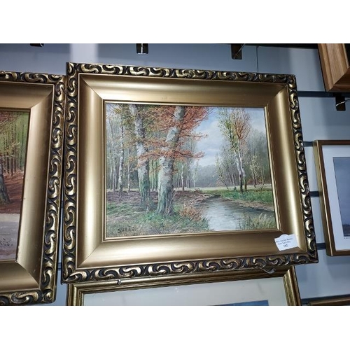 102 - Pair Of Framed Oil Paintings Of Forest Scenes. Both Signed