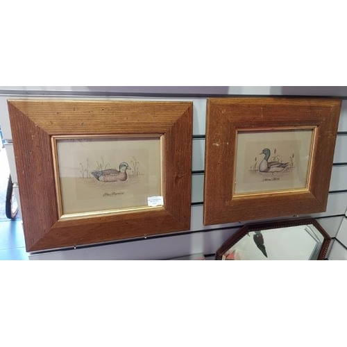 124 - 2 Pine Framed Duck Prints