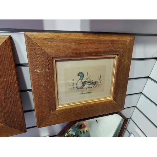 124 - 2 Pine Framed Duck Prints