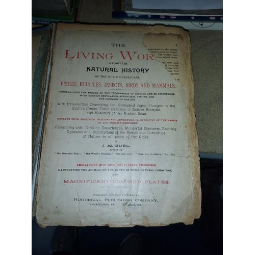 16 - 1889 The Living World Book A Complete Natural History Of The Worlds Creatures