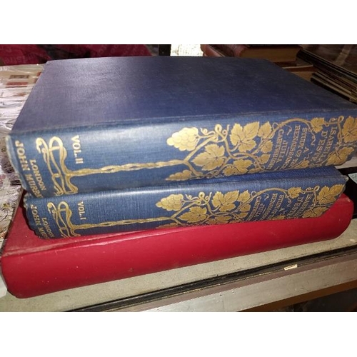 550 - 2 Volumes Isabella D'Estre By Julia Cartright