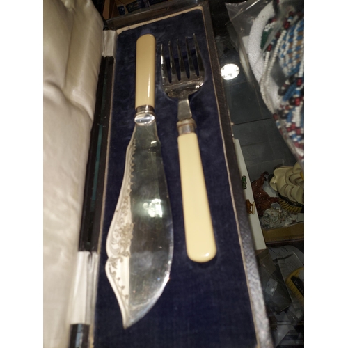 270 - Bone Handled Silver Ferrelled Fish Knife And Fork Set In Case