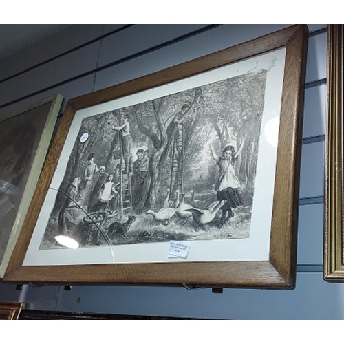 116 - Large Framed Lithograph Of A Family Apple Picking Signed E.N Downand Glass Needs Replacing