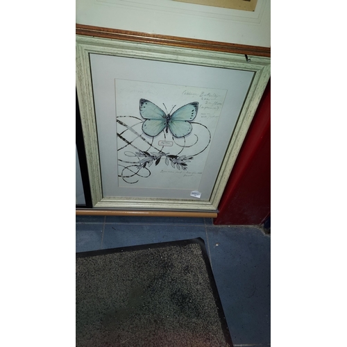 118 - Framed Butterfly Print