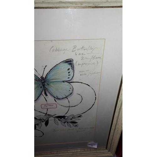 118 - Framed Butterfly Print