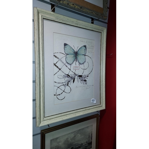 115 - Framed Butterfly Print