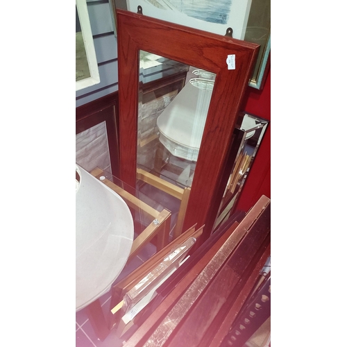 124 - Large Long Framed Mirror