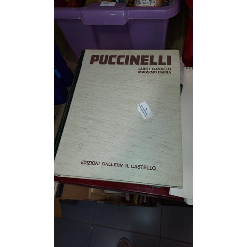 6 - Book On Puccinelli Raimondo Milano