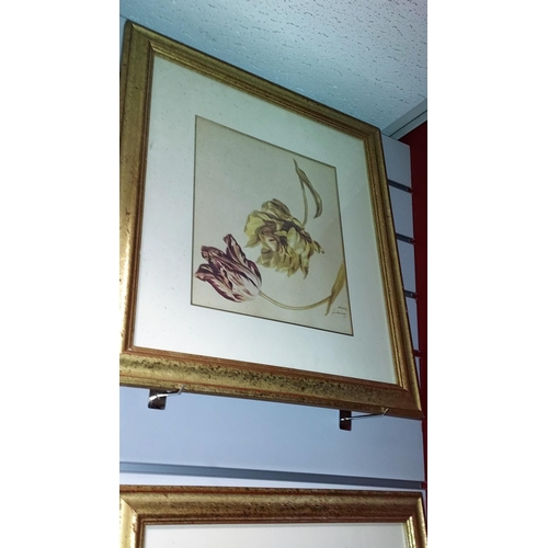 120 - 2 Framed Prints Of Flowers