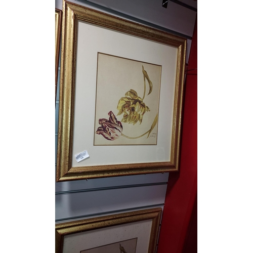 118 - 3 Framed Flower Pictures