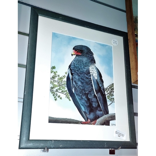 106 - Framed Bird Of Prey Print Signed S. Jones