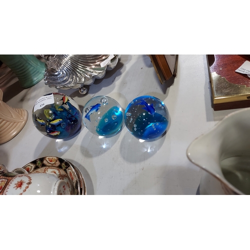 434 - 3 Fish Themed Paperweights