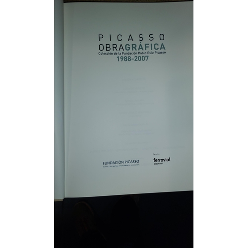 13 - Picasso Obra Grafica 1988-2007 Book