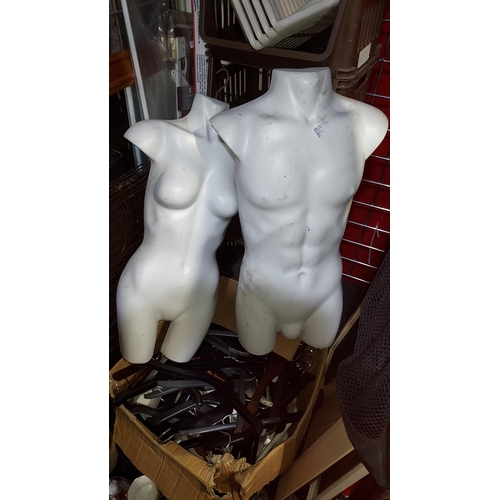 652 - Male And Female Shop Display Torsos