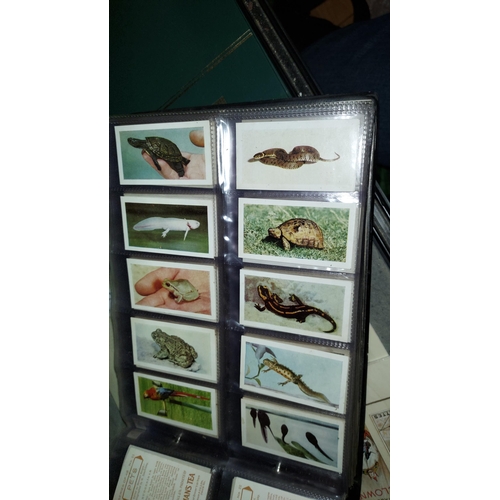 560 - Album Of Various Cigarette Cards