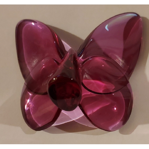 316 - Baccarat Peony Pappilion Lucky Butterfly Paperweight