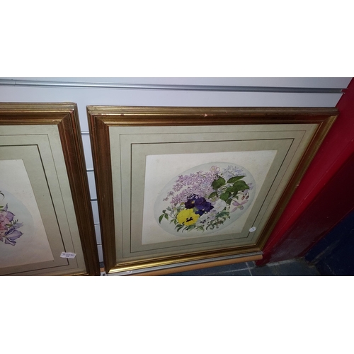 116 - 2 Gilt Framed  Original Watercolours By Ann Richardson 22 1/2