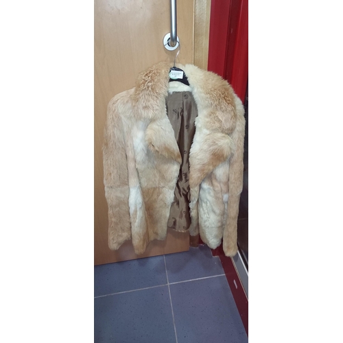 17 - Brown Fur Coat