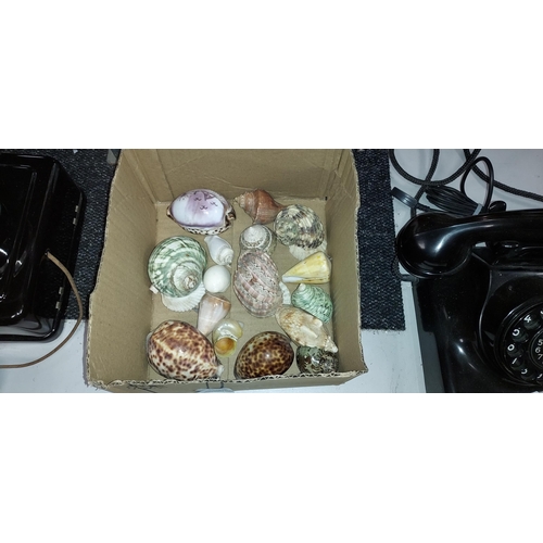 479 - Box Of Decorative Shells